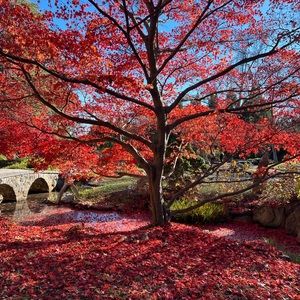 Meet your Posher, Layla